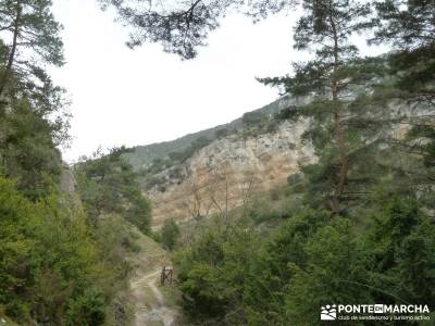 Salto del Nervión - Salinas de Añana - Parque Natural de Valderejo;rutas alto tajo clubs en madrid